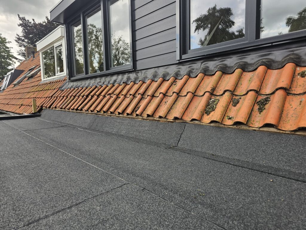 Dakshingels aanleggen in Leiden
