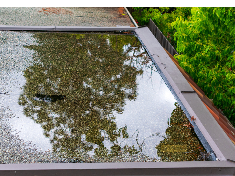Plat dak coaten na een regenbui is niet handig