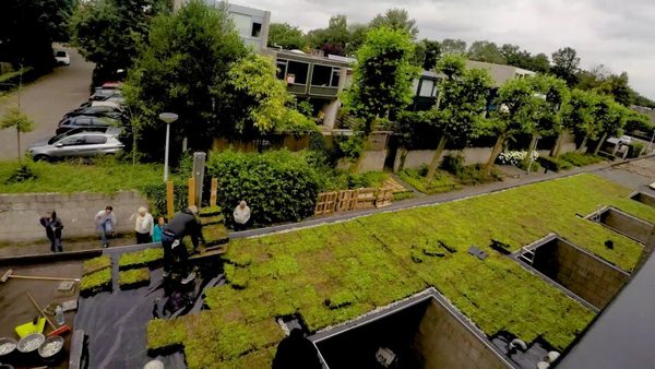 Aanbrengen van vegetatiematten op een plat dak