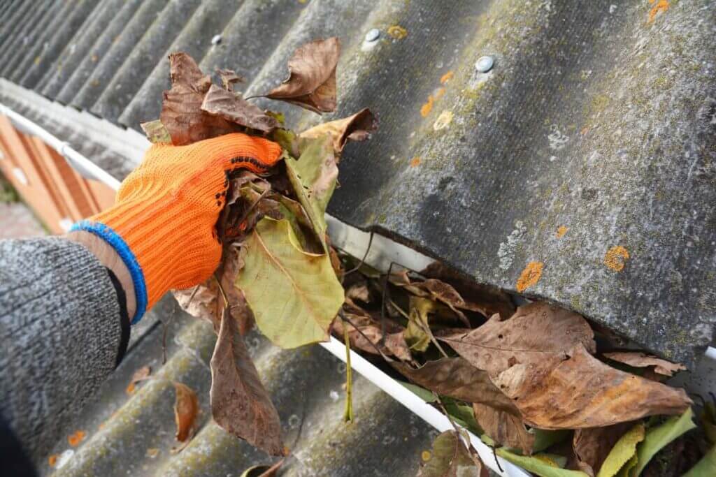 dakgoot schoonmaken