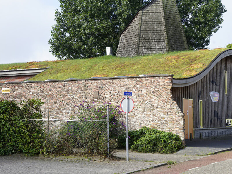 groendak dakbedekking