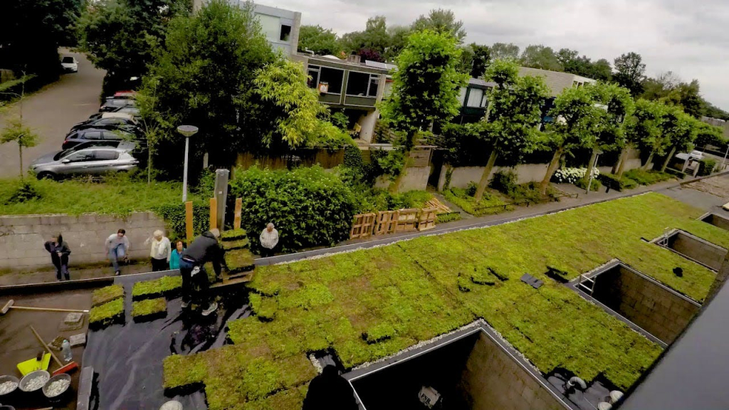 groendak laten plaatsen